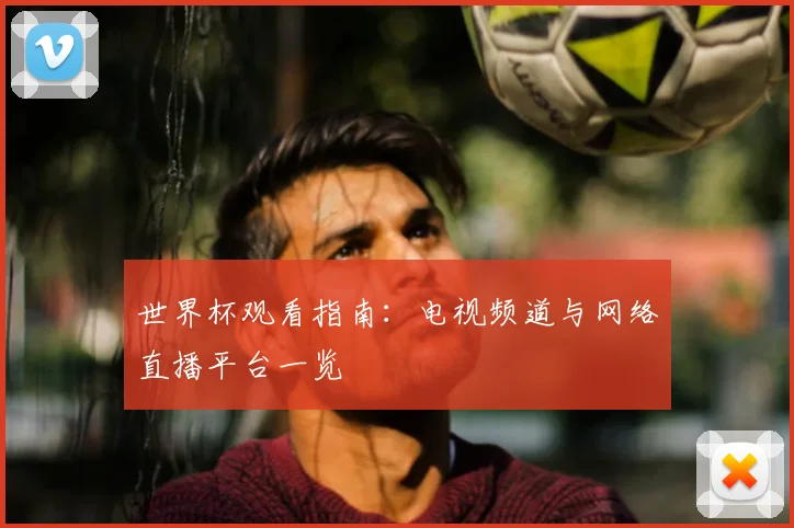 世界杯观看指南：电视频道与网络直播平台一览