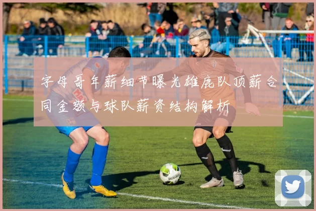 字母哥年薪细节曝光雄鹿队顶薪合同金额与球队薪资结构解析