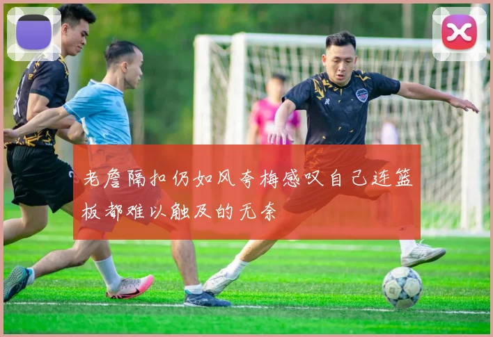 老詹隔扣仍如风夸梅感叹自己连篮板都难以触及的无奈