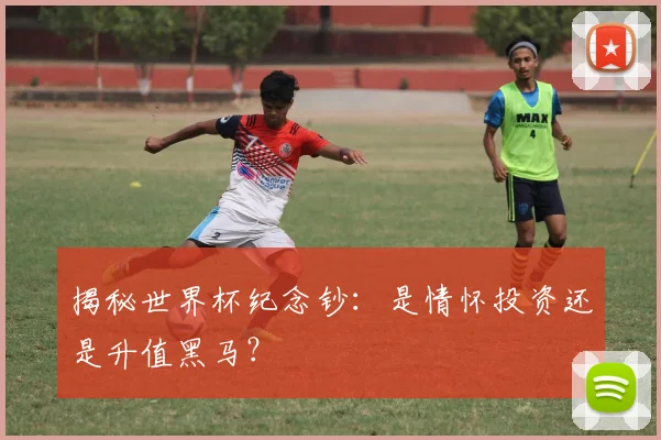 揭秘世界杯纪念钞:是情怀投资还是升值黑马?