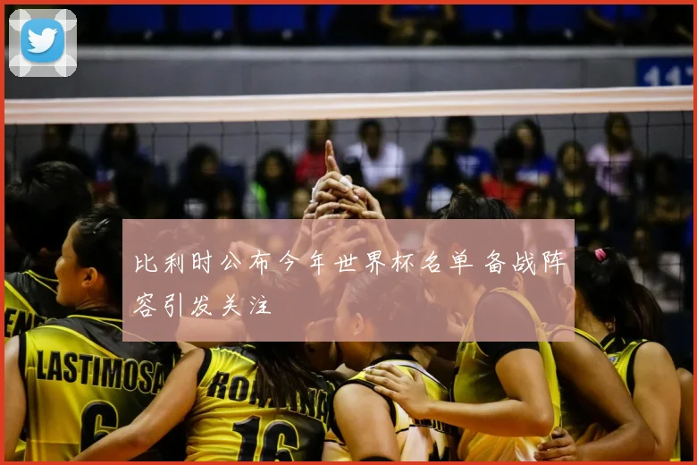 比利时公布今年世界杯名单 备战阵容引发关注