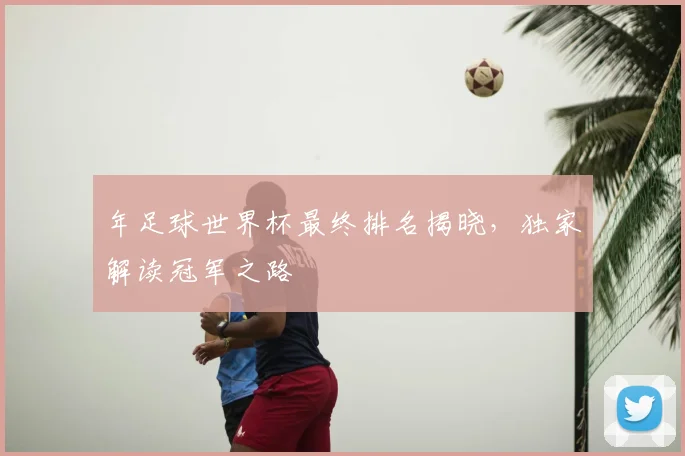 年足球世界杯最终排名揭晓,独家解读冠军之路