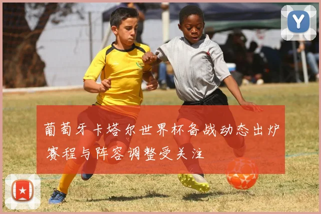 葡萄牙卡塔尔世界杯备战动态出炉 赛程与阵容调整受关注