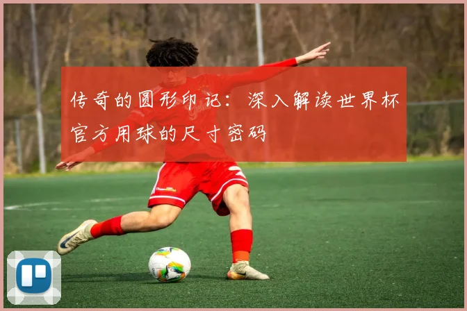 传奇的圆形印记：深入解读世界杯官方用球的尺寸密码