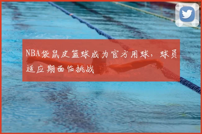 NBA袋鼠皮篮球成为官方用球，球员适应期面临挑战
