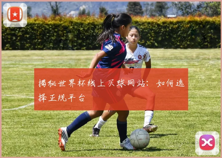 揭秘世界杯线上买球网站:如何选择正规平台