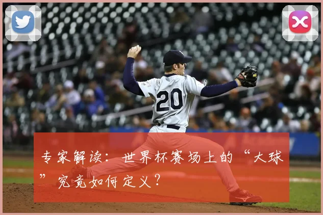 专家解读：世界杯赛场上的“大球”究竟如何定义？