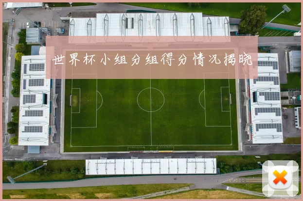 世界杯小组分组得分情况揭晓