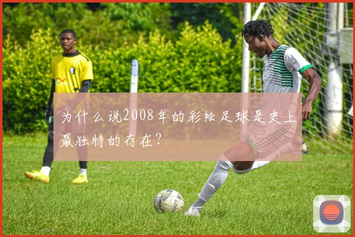 为什么说2008年的彩绘足球是史上最独特的存在？