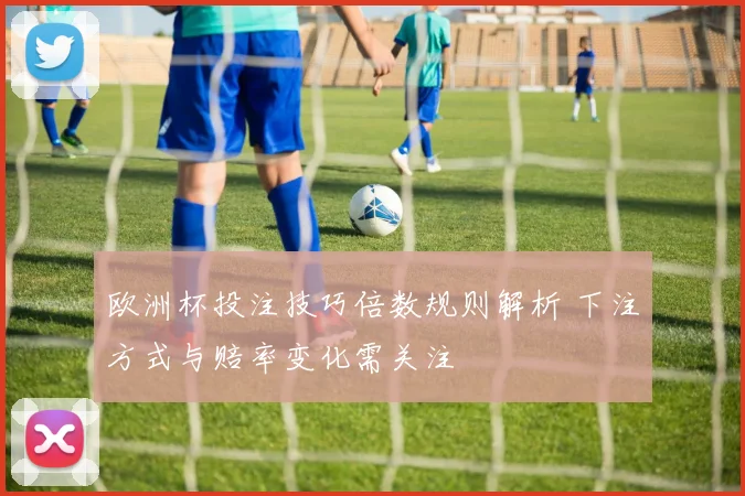 欧洲杯投注技巧倍数规则解析 下注方式与赔率变化需关注