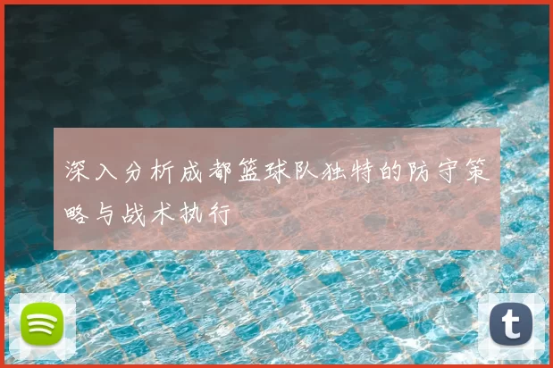 深入分析成都篮球队独特的防守策略与战术执行