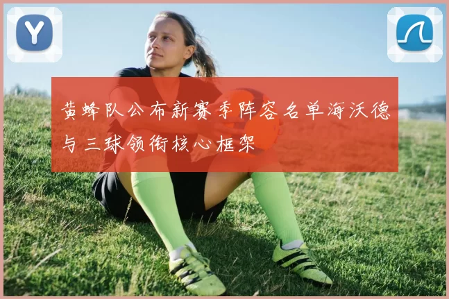 黄蜂队公布新赛季阵容名单海沃德与三球领衔核心框架