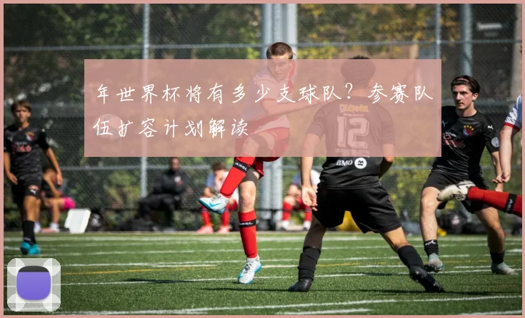 年世界杯将有多少支球队？参赛队伍扩容计划解读
