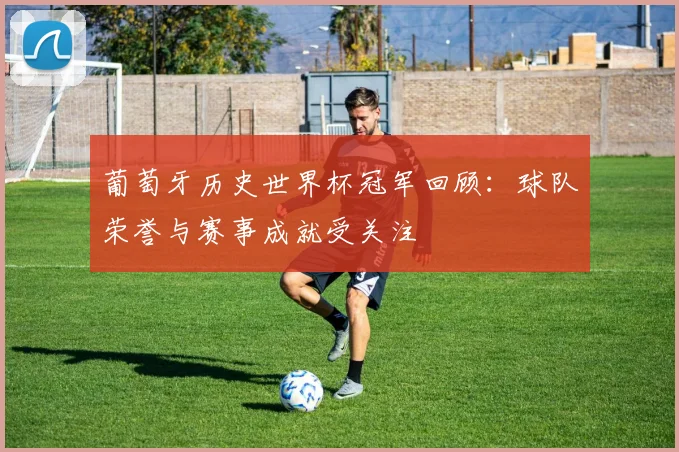 葡萄牙历史世界杯冠军回顾:球队荣誉与赛事成就受关注
