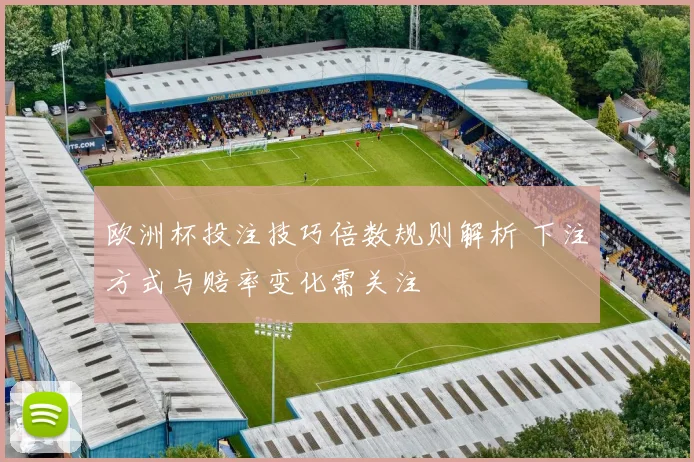欧洲杯投注技巧倍数规则解析 下注方式与赔率变化需关注
