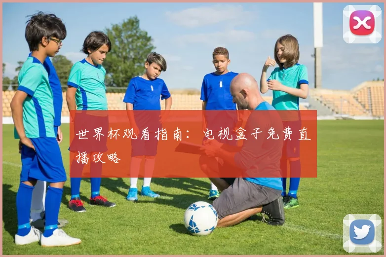世界杯观看指南：电视盒子免费直播攻略