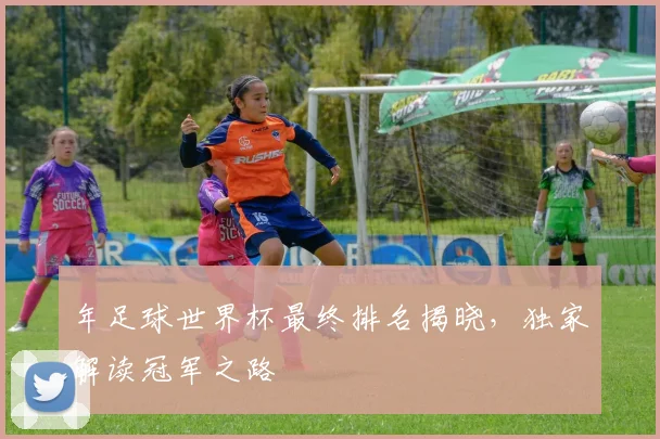 年足球世界杯最终排名揭晓，独家解读冠军之路